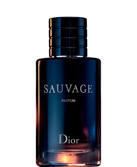 dior herrparfym|dior cologne for men.